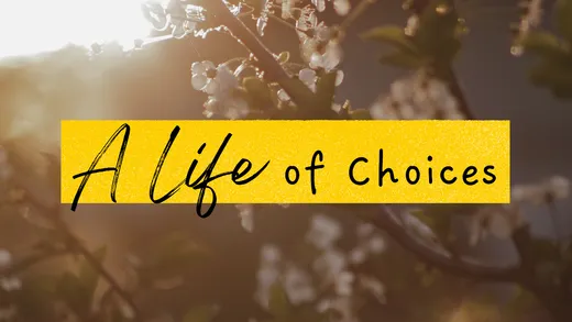 A Life of Choices — series cover art