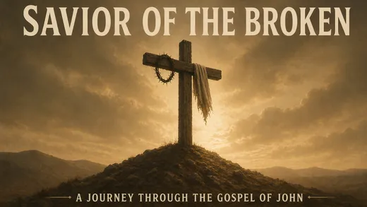 Savior of the Broken — series cover art