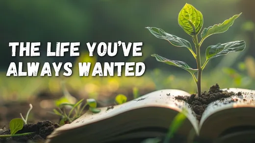 The Life You've Always Wanted — series cover art